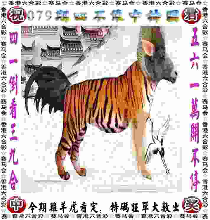 安徽文一大外援已到位 参加“江淮行”巡回赛